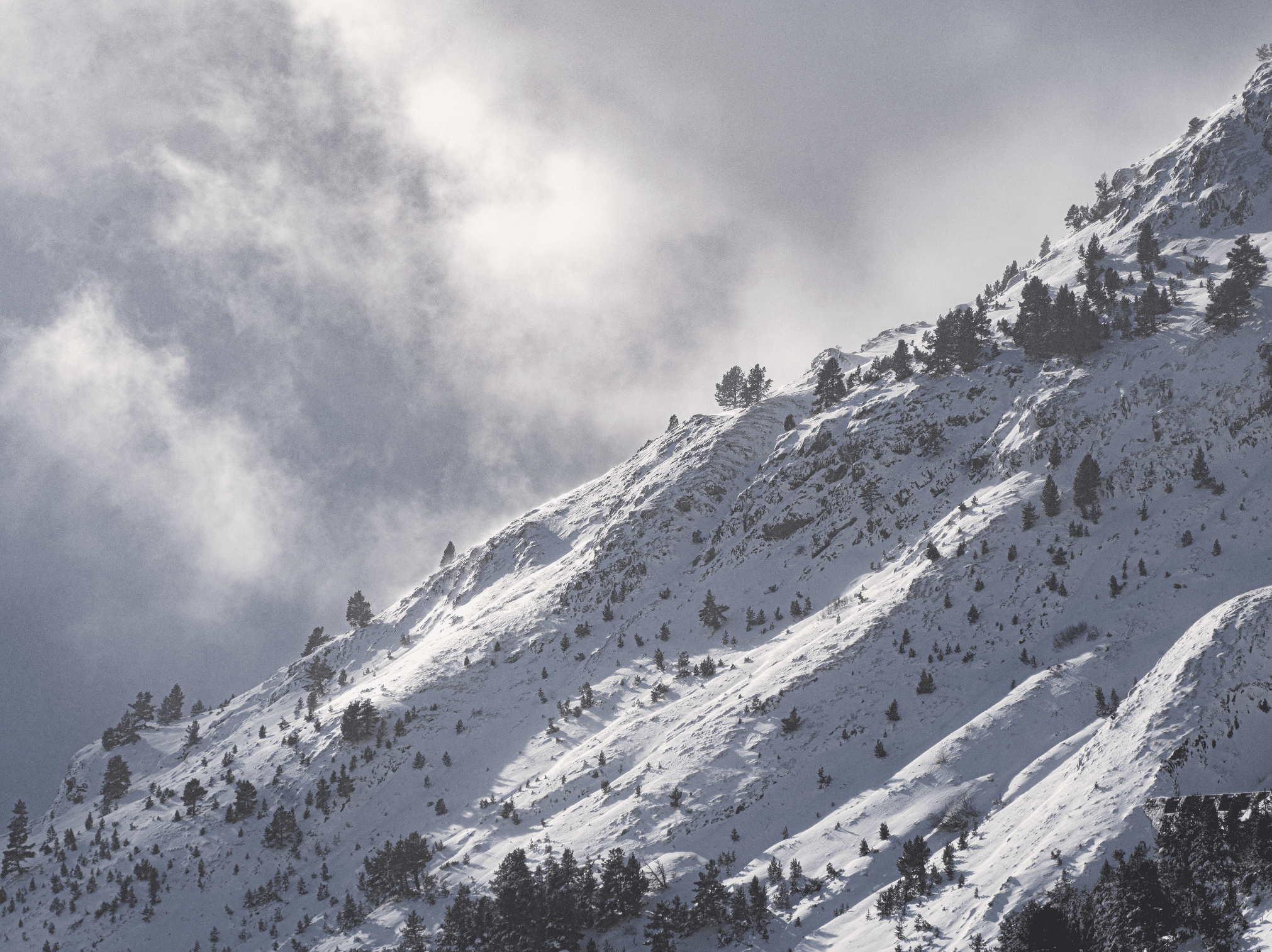 Astún en verano: Apertura 100K Astún-Candanchú: Sábado 16 de diciembre 2023 6 Astún en verano: Captura de pantalla 2023 12 15 a las 1.23.19