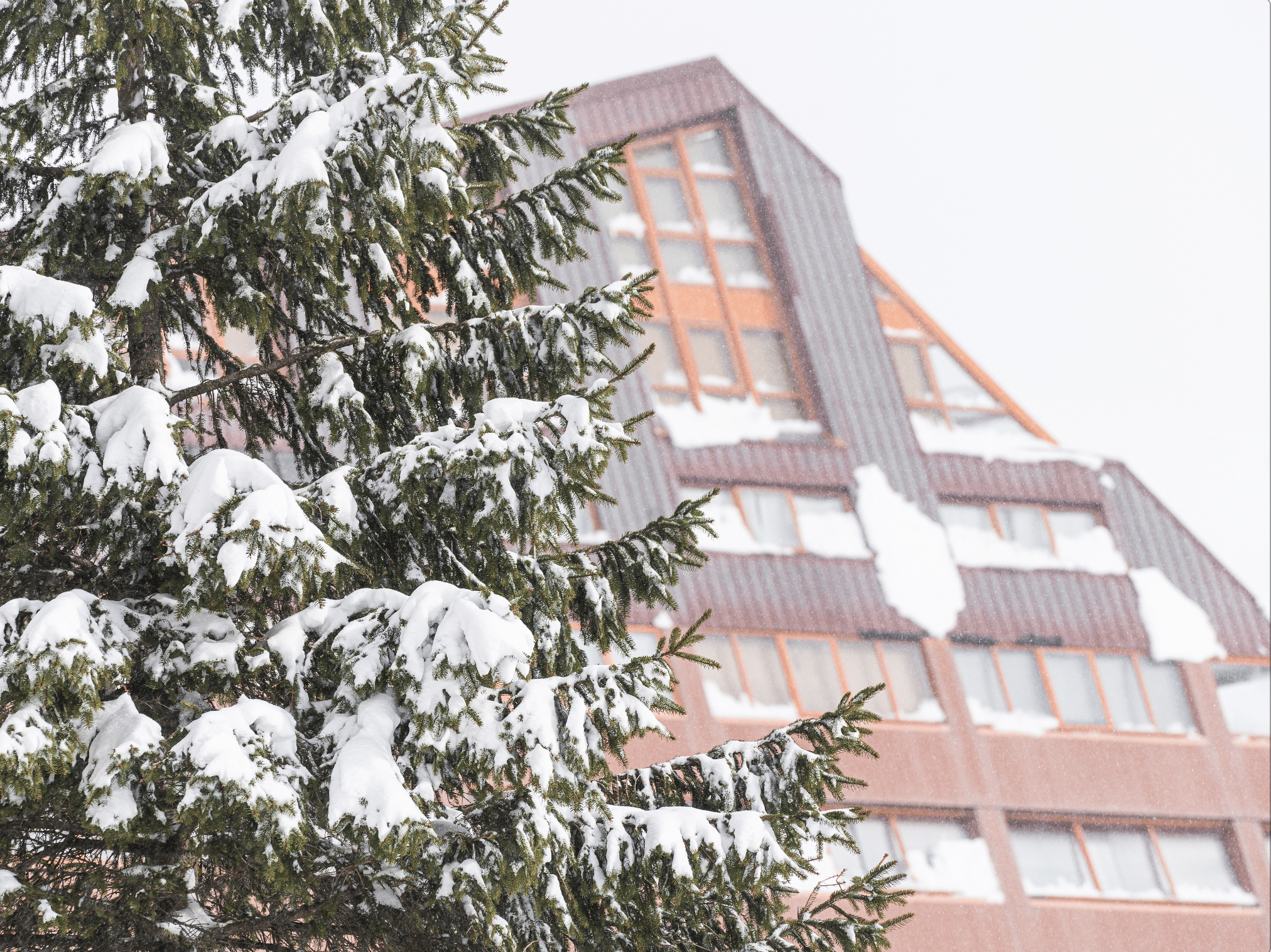 Astún en verano: Apertura 100K Astún-Candanchú: Sábado 16 de diciembre 2023 5 Astún en verano: Captura de pantalla 2023 12 15 a las 1.23.31