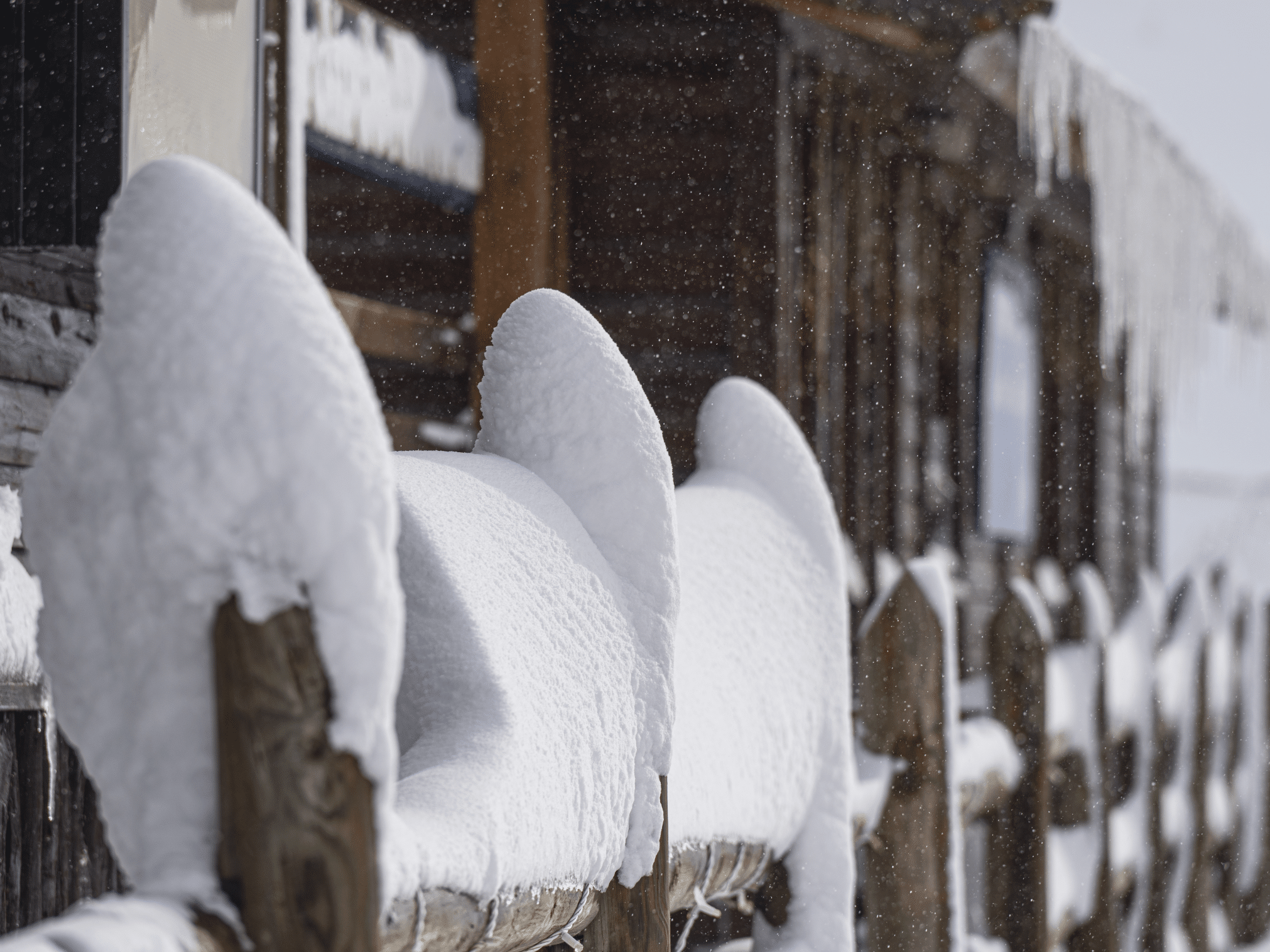 Astún en verano: Apertura 100K Astún-Candanchú: Sábado 16 de diciembre 2023 2 Astún en verano: Captura de pantalla 2023 12 15 a las 1.24.11